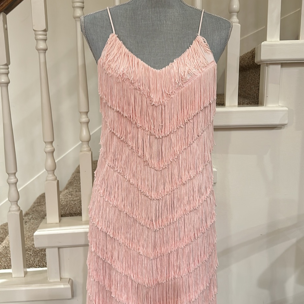 Sophisticated Tassel Dress